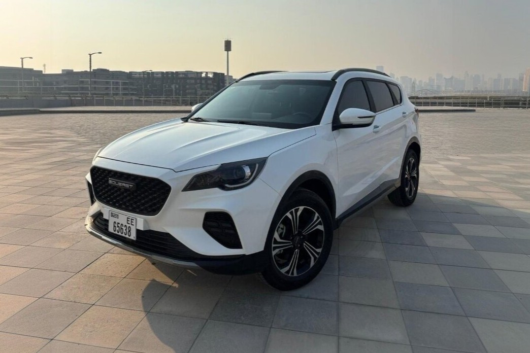 Foto 1 von Soueast DX8 2024